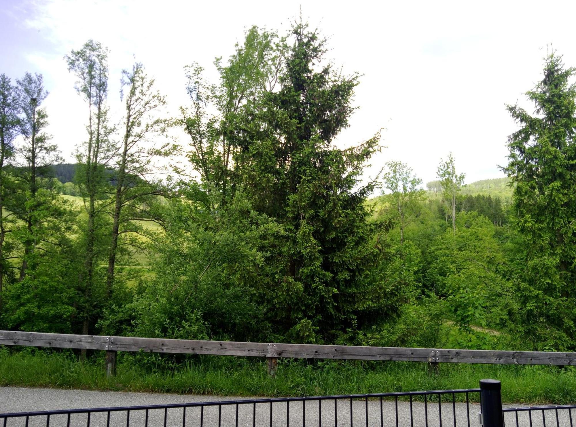 Feapp Parken & Pennen Mondsee Exterior foto